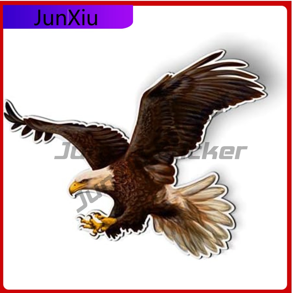 Bald Eagle American Eye Catchi - Laptop Accessories To Have ulasan dan harga